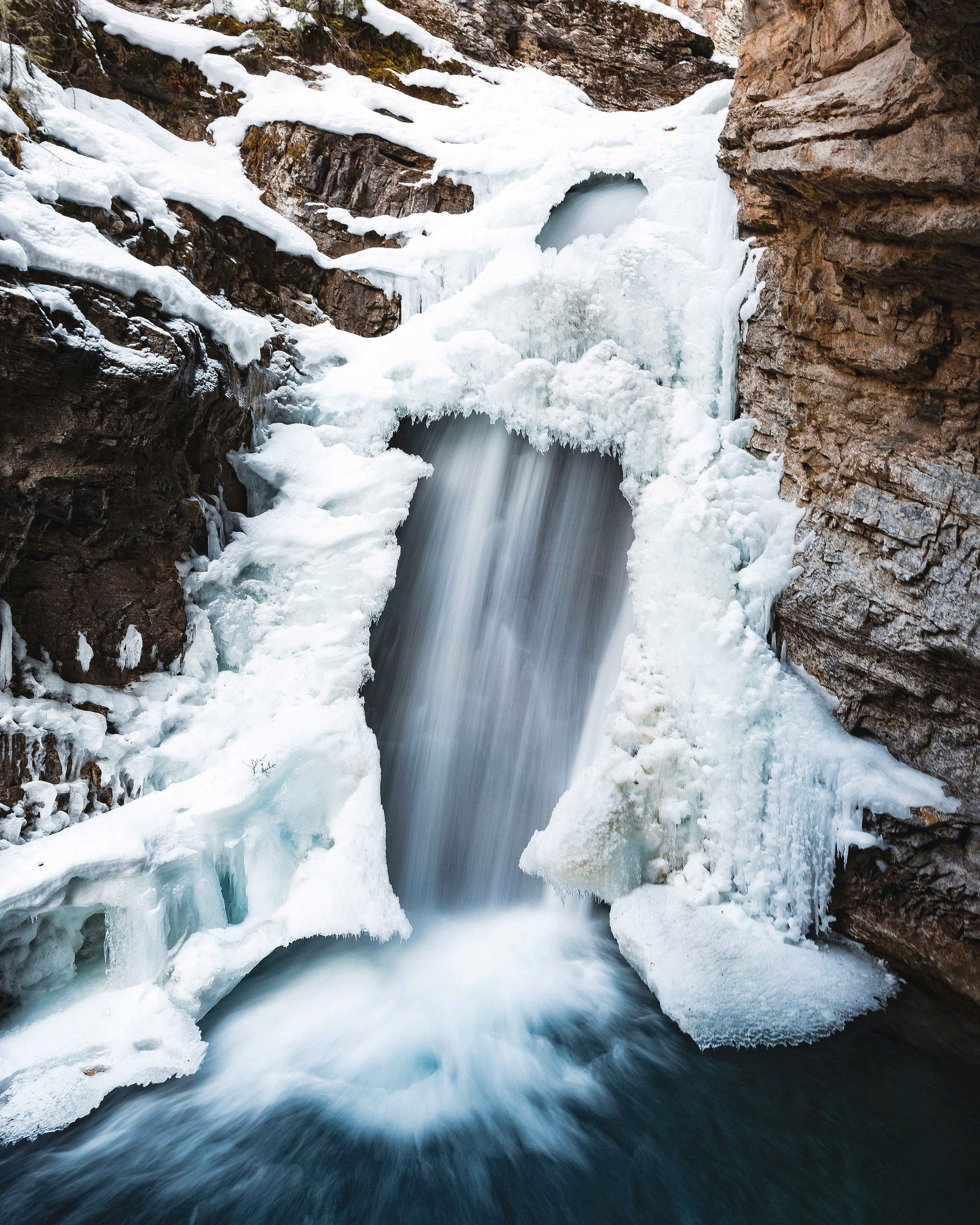 snow covered trees and rocks